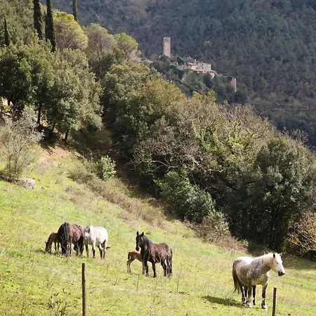 Casa di campagna Abbazia San Pietro In Valle *